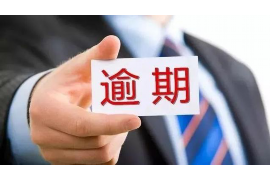 湖南湖南的要账公司在催收过程中的策略和技巧有哪些？